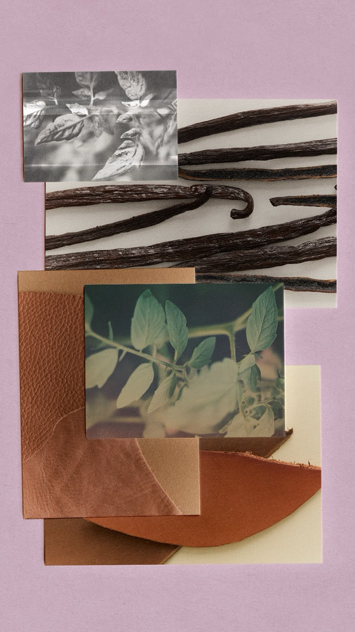 Italian Leather - Focus