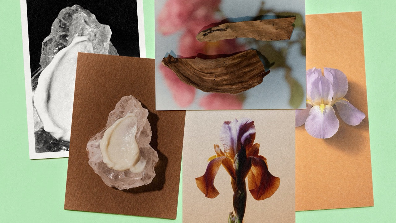 Iris, orris root and rock crystal, the raw materials behind Omnia Omnibus Ubique