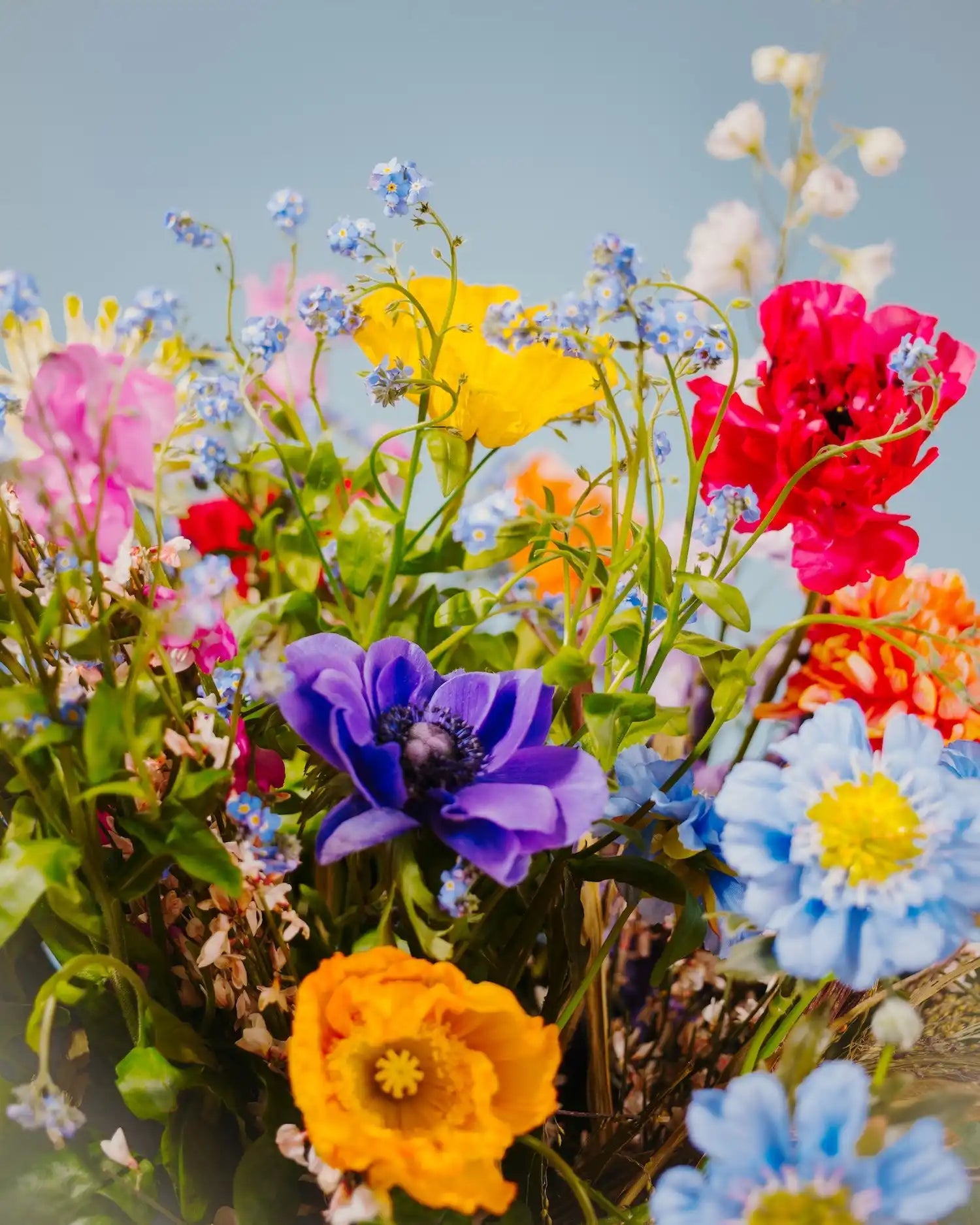 Colorful floral arrangement.