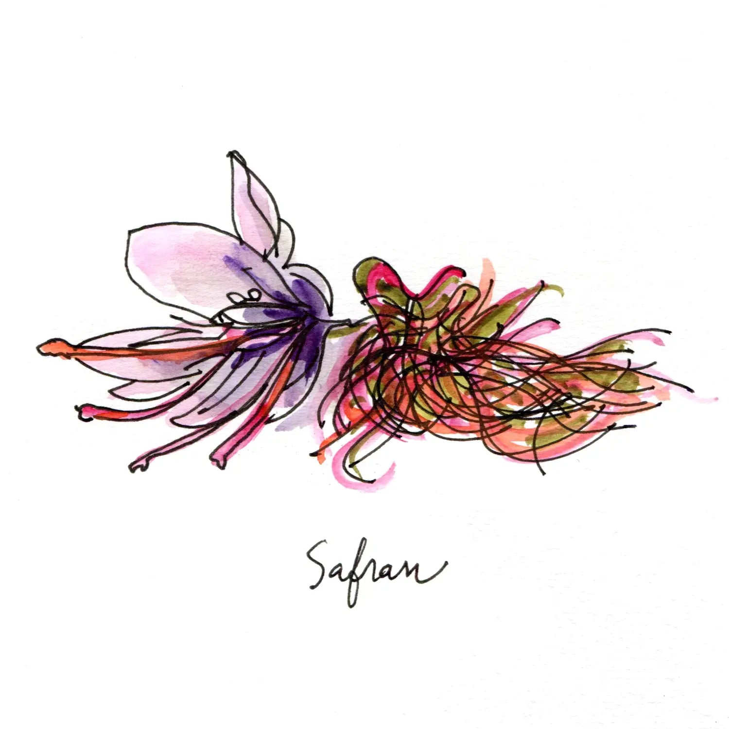 Cappadocia - OldFocus