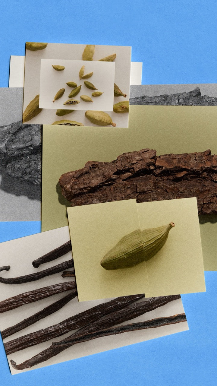 Palais Bourbon - Focus