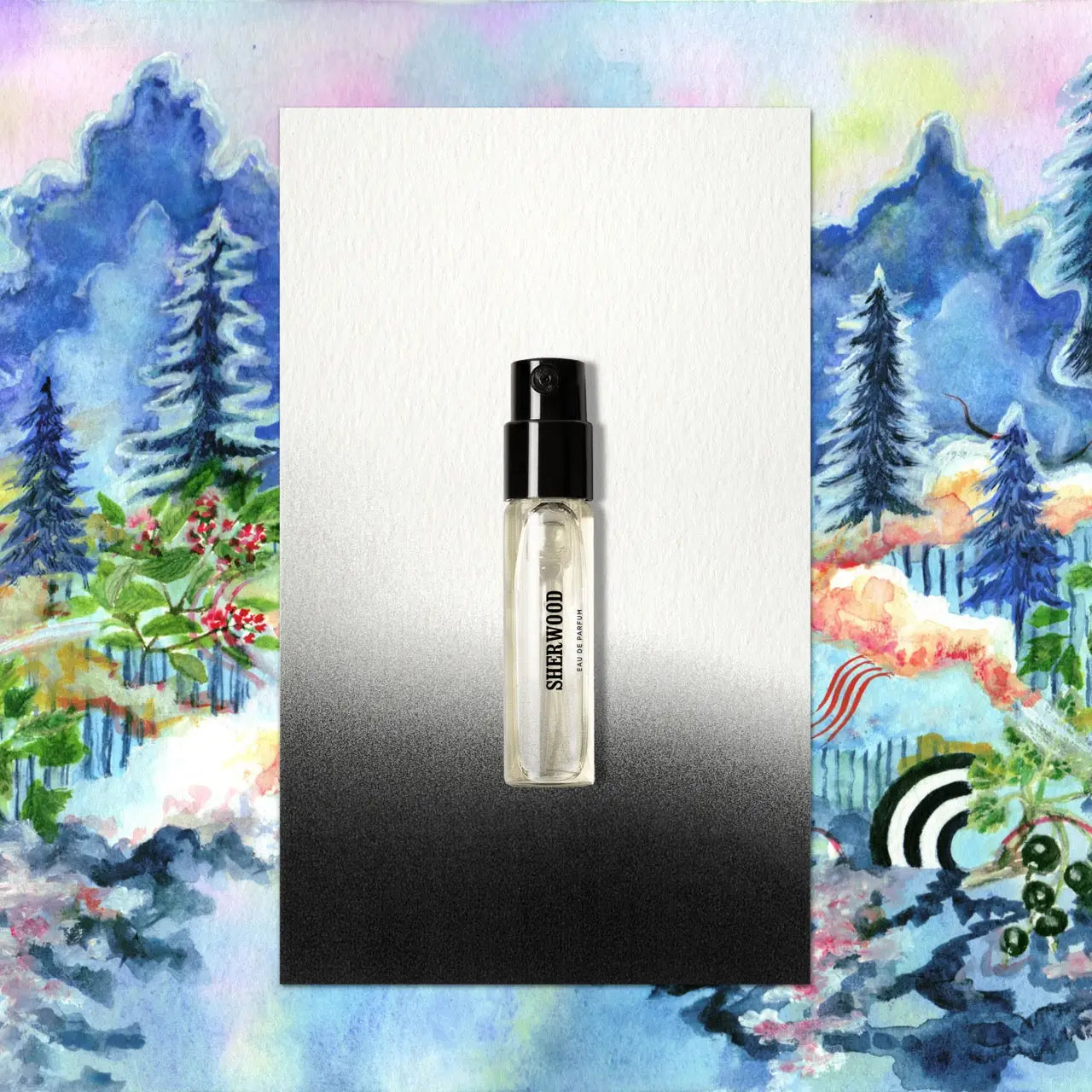 Boutique Sherwood - Eau de Parfum | Memo Paris