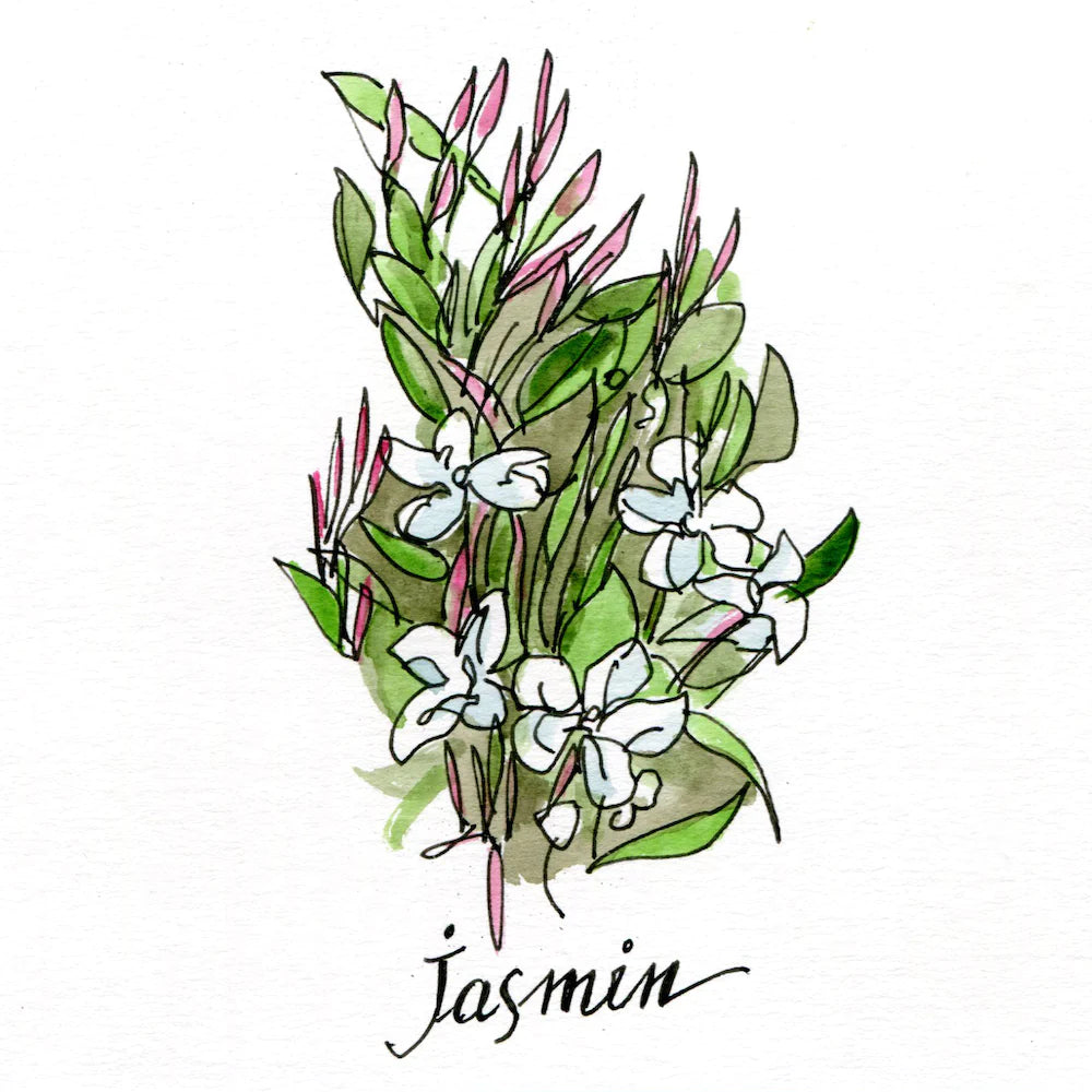 Eau de Memo - OldFocus