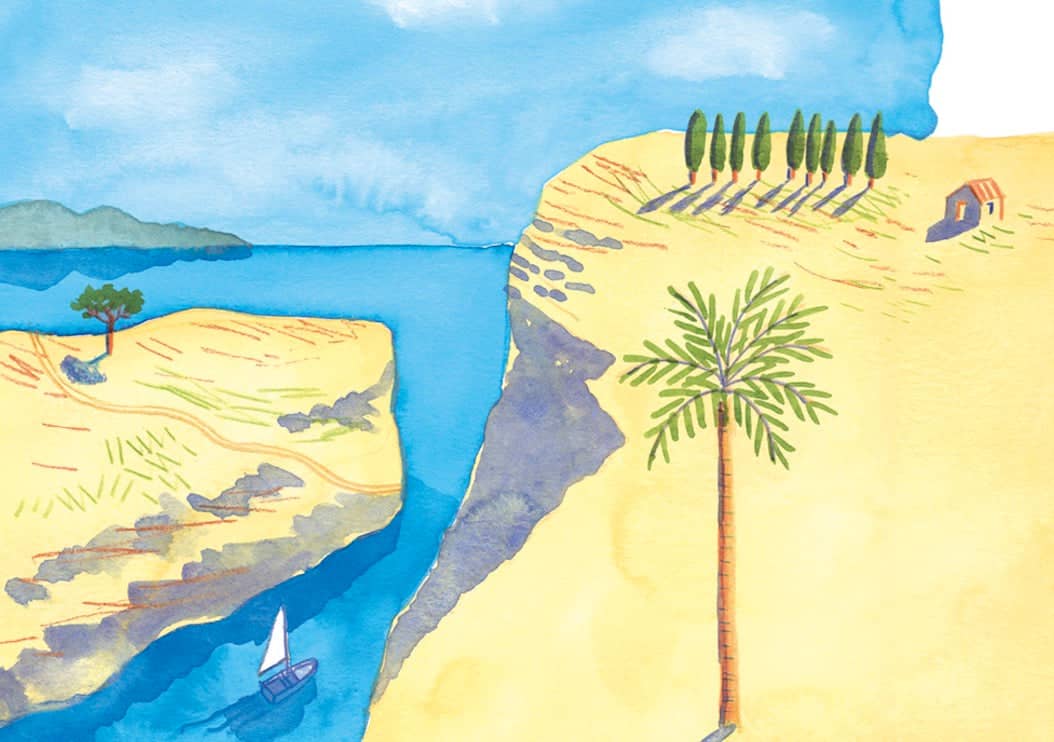 A tall, slender palm tree with a textured brown trunk and vibrant green fronds stands prominently on the sandy shore.