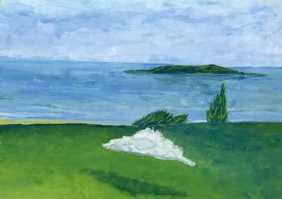 A white, textured mound of snow rests on a vibrant green grassy field under an overcast sky.